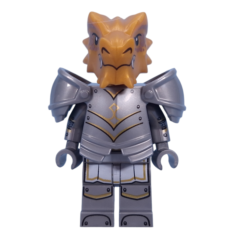 Dragonborn Paladin