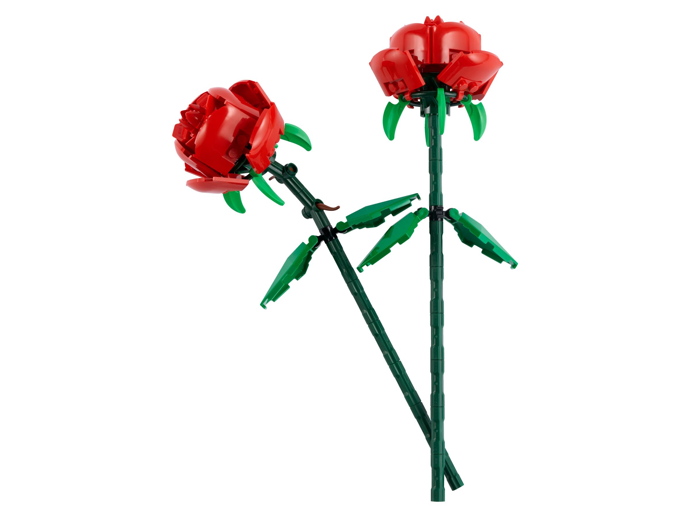 Roses