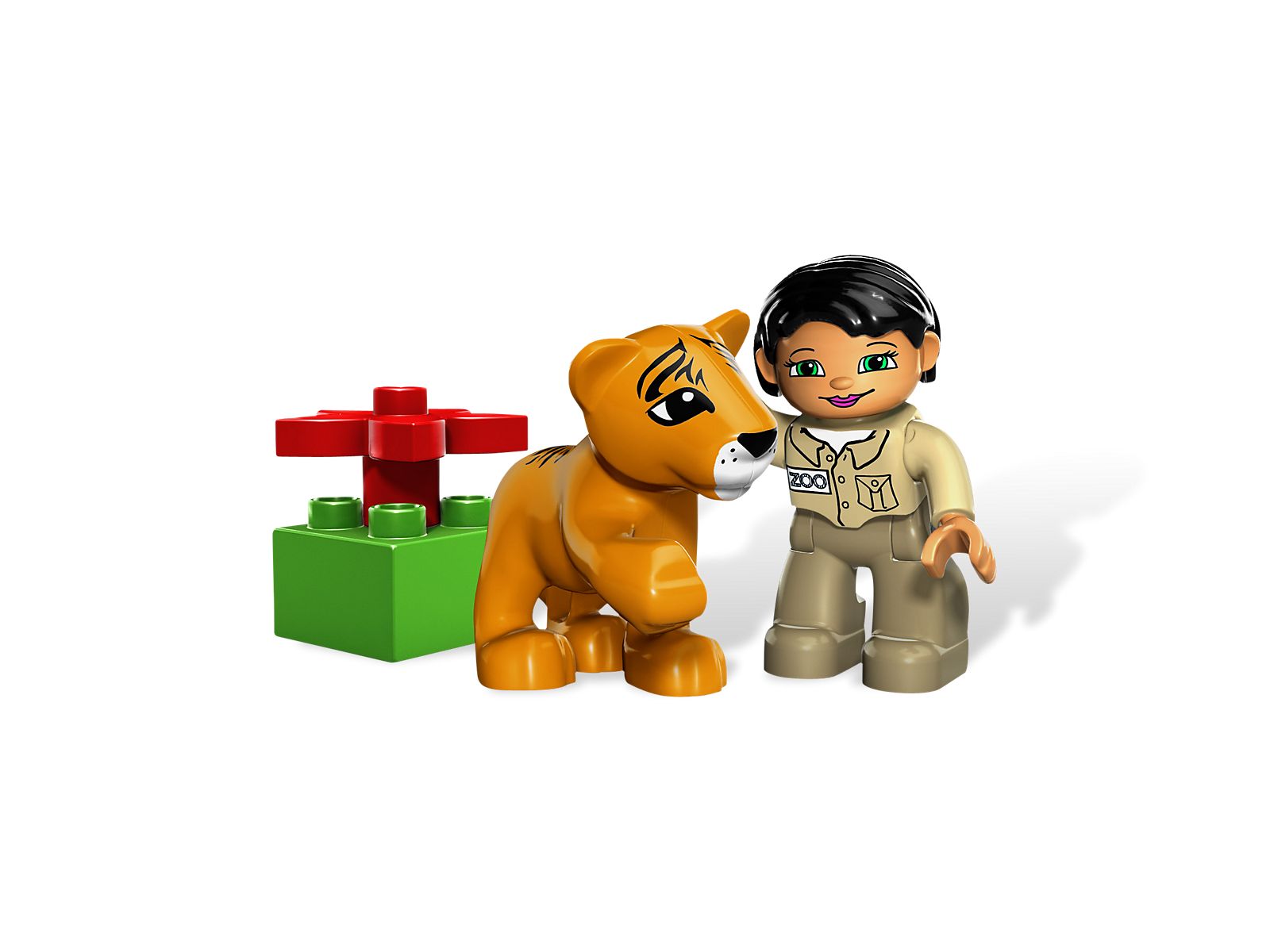 Animal Care