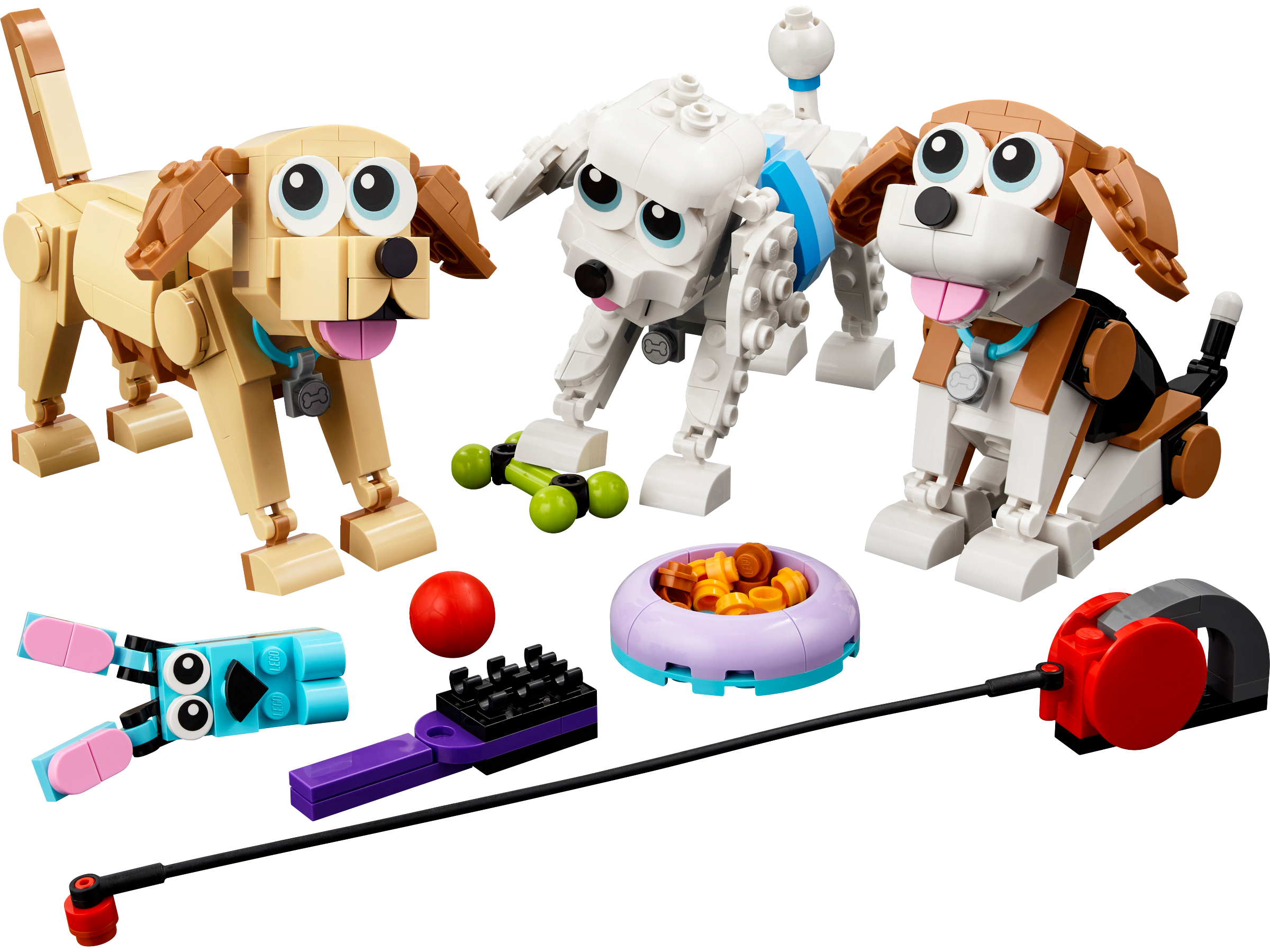 Adorable Dogs
