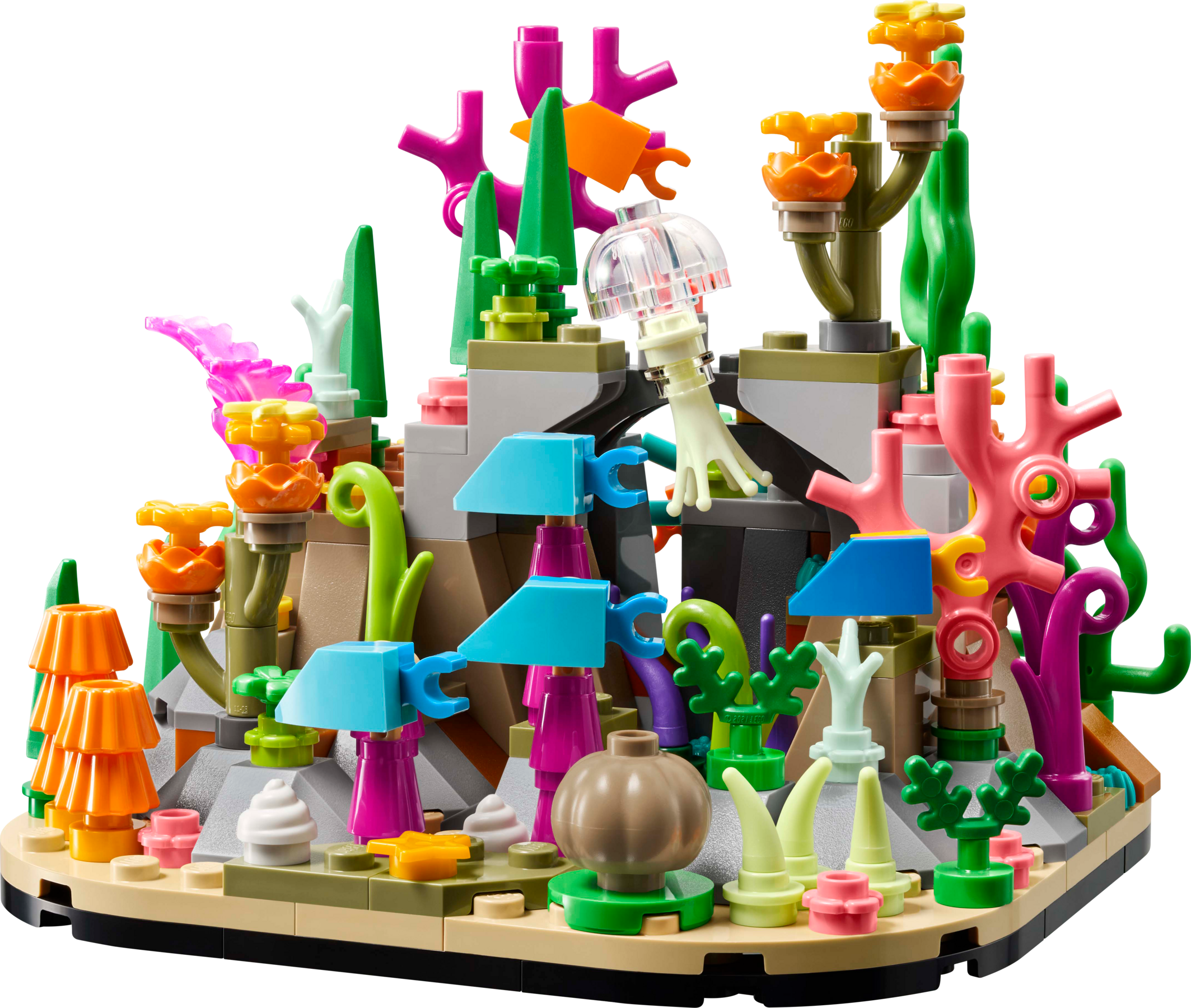 Coral Reef Diorama