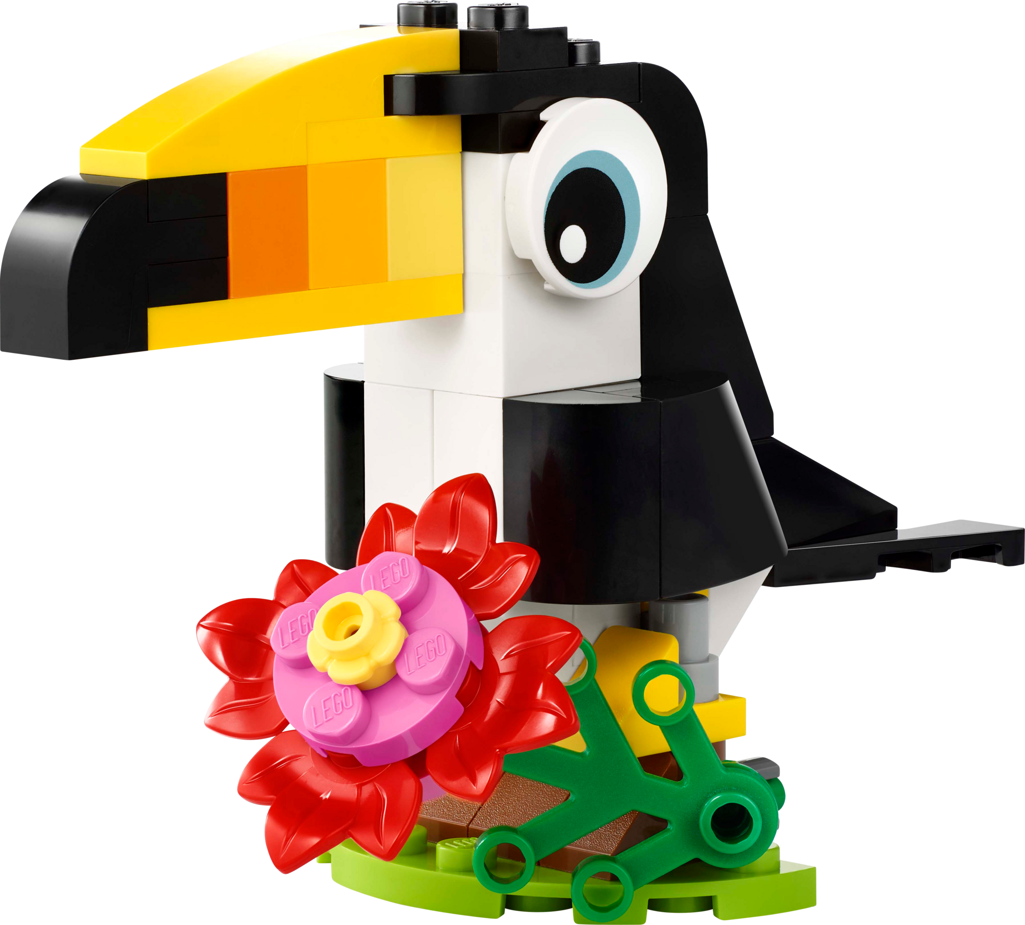 Tropical Toucan