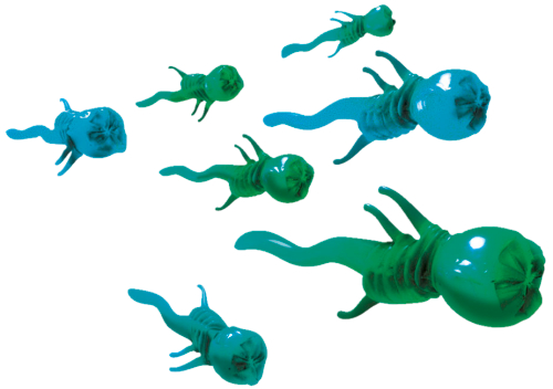 Squid Ammo