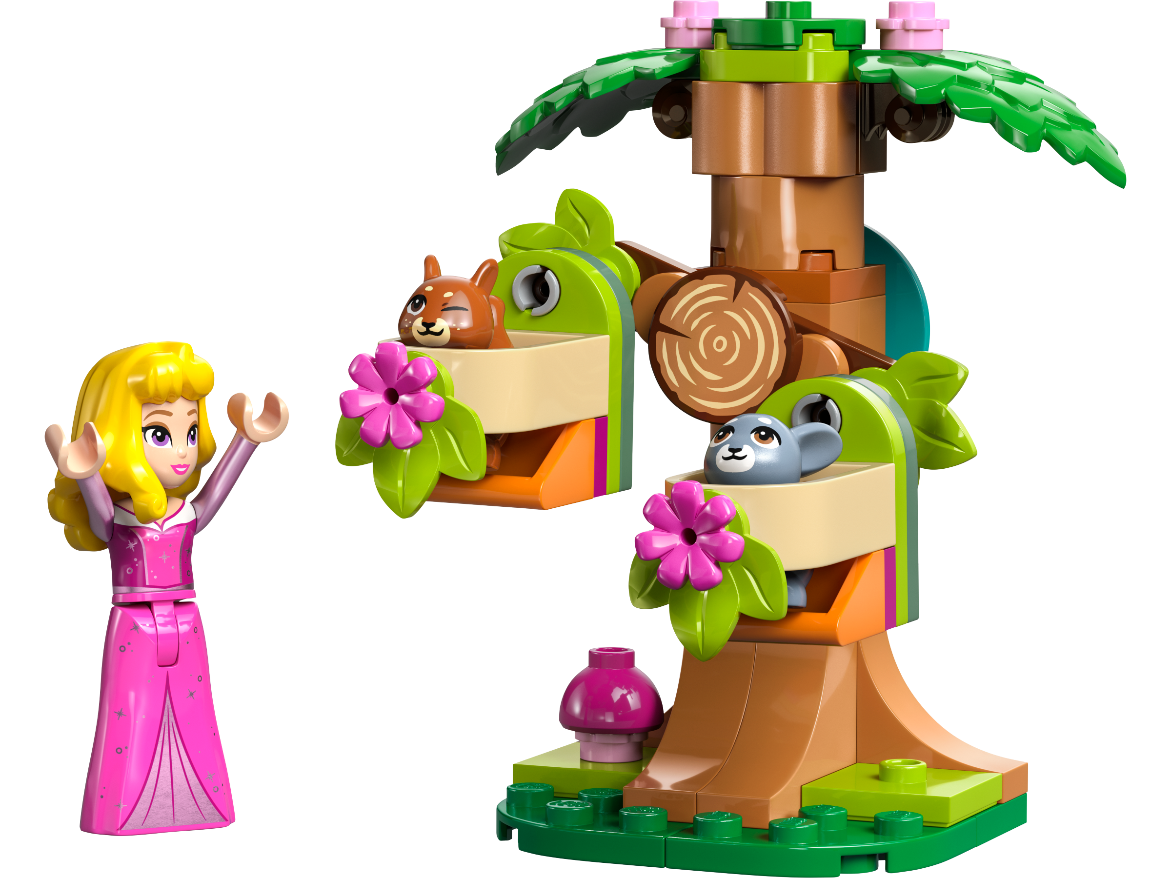 Aurora's Forest Playground